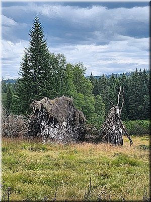 250824-Korytko-1612-Roklanskypotok.jpg
