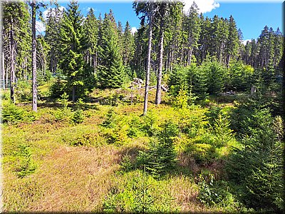 250825-Korytko-1219-uRysa.jpg