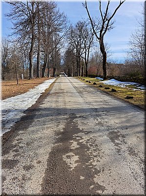 260226-PohoriNaSumave_110011.jpg