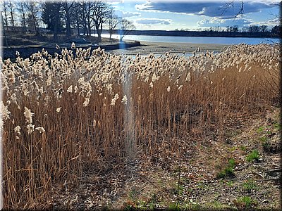 260317-Trebon-cyklo_160831.jpg