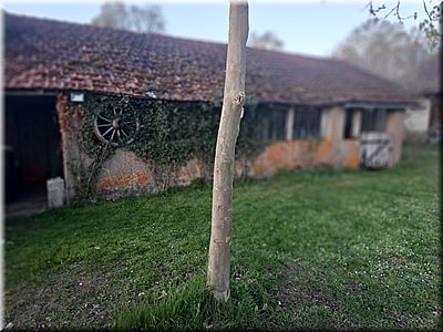 260327_185724-FrancieLondon-venku.jpg