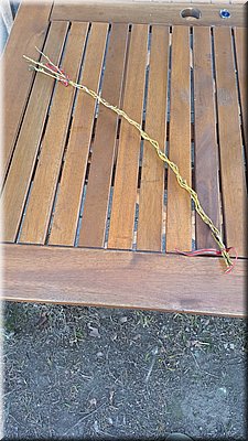 260406-pomlazka.jpg