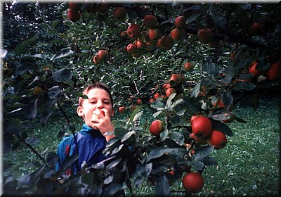 1996-Tomik-s-jablkem.jpg
