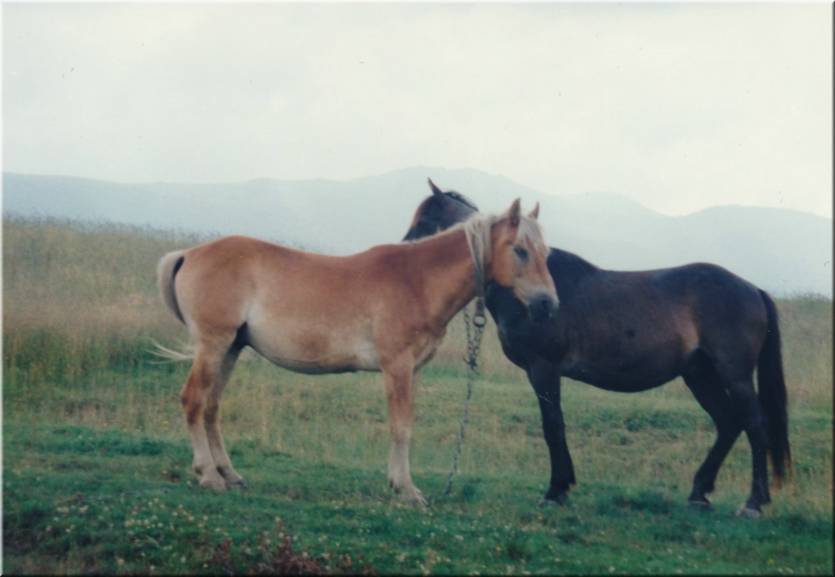 1997-ZakarpatskaUkrajina-07.jpg