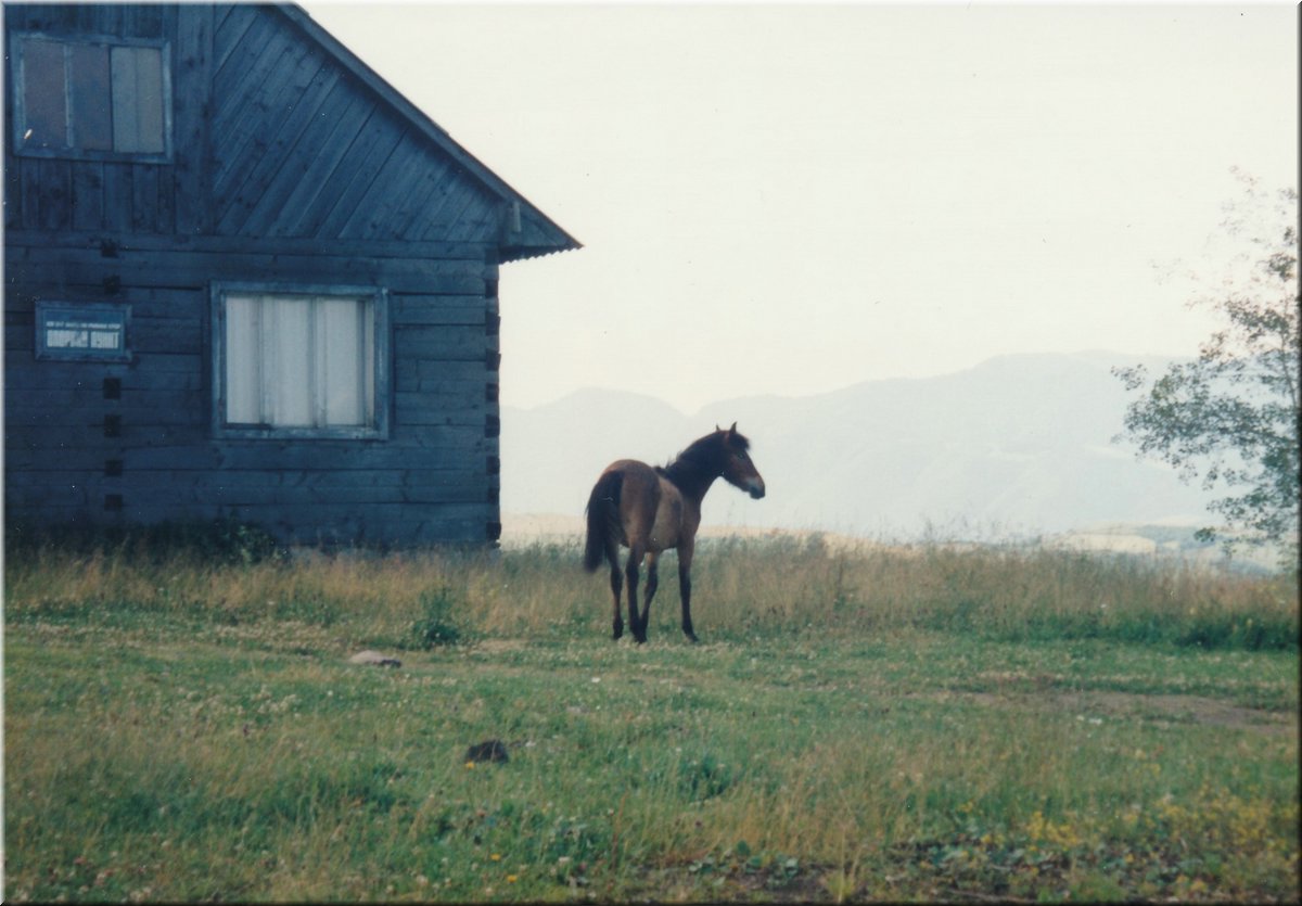 1997-ZakarpatskaUkrajina-08.jpg