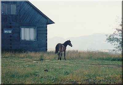 1997-ZakarpatskaUkrajina-08.jpg