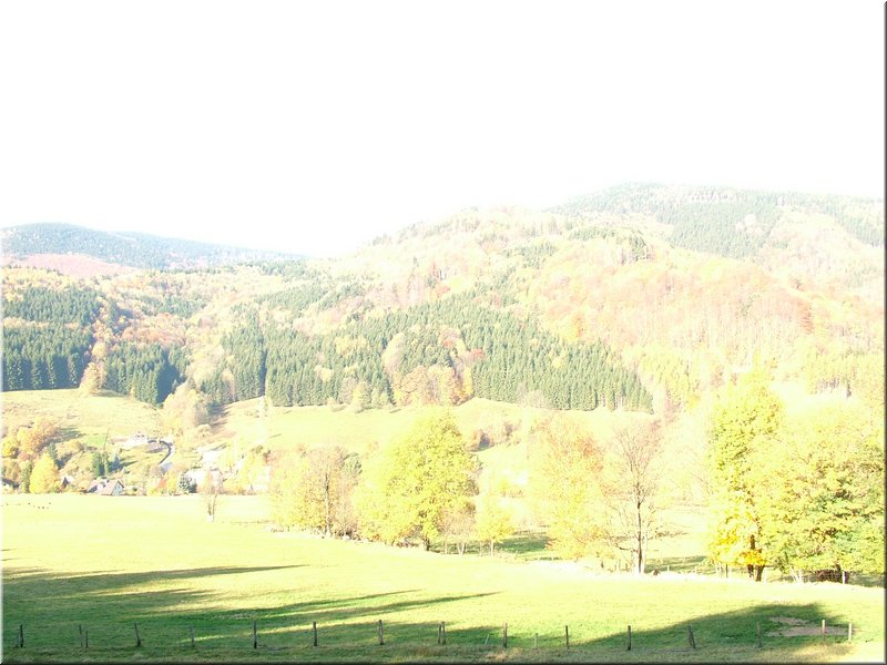 Rabani 28.X.05_66.JPG
