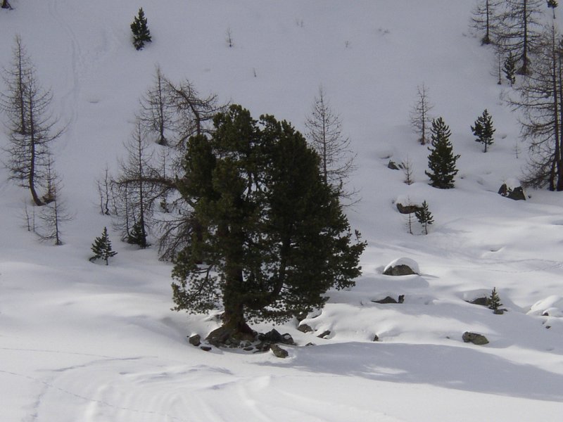 070217 110 Zermatt.JPG
