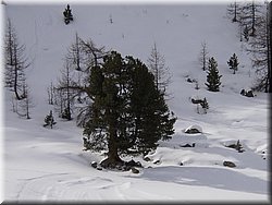 070217 110 Zermatt.JPG