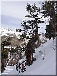 070217 125 Zermatt.JPG