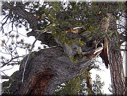 070217 127 Zermatt.JPG