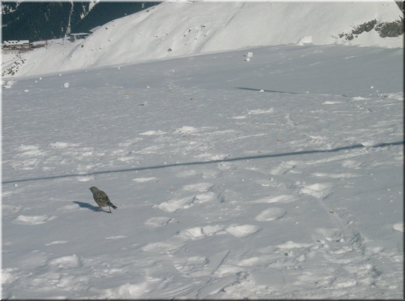070313-BBCC-Montafon-0042_Brc.JPG