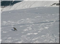 070313-BBCC-Montafon-0042_Brc.JPG