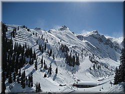 080310-Montafon-468_Petra.JPG