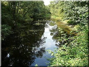 080811-BBCC-Sedlacek-672_Toni.jpg