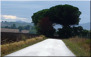 080915-BBCC-Tosca-Volterra-485_Toni.jpg