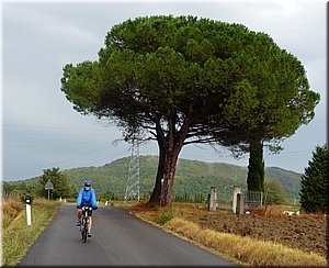 080915-BBCC-Tosca-Volterra-486_Toni.jpg