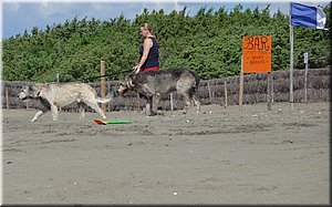 080916-BBCC-Tosca-more-651_Toni.jpg