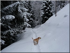 090308-BBCC-Montafon-0855(c)Toni.jpg