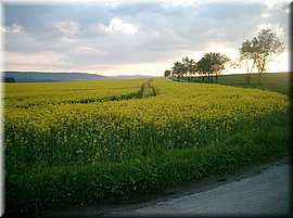 100522-BBCC-Rabstejn-42_Brc.JPG