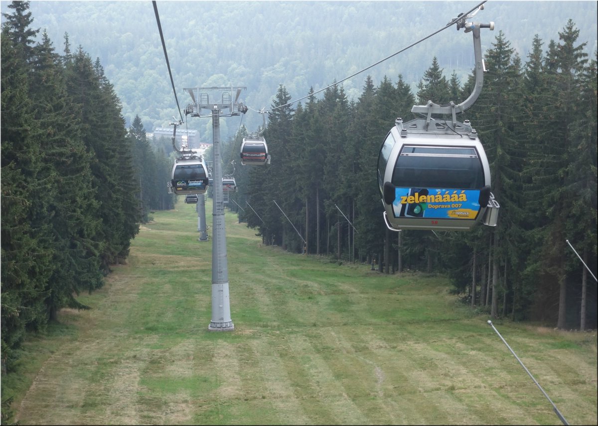 230826-BBCC-Cert-6778_Vr.jpg