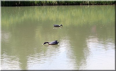 250504-BBCC-OkoHoBu-04KopanskyMlyn-803_Vr.jpg