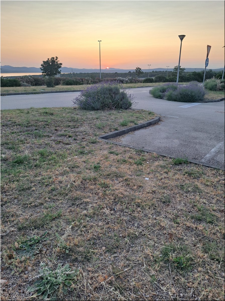 250607-Kololod-203026_Brc.jpg
