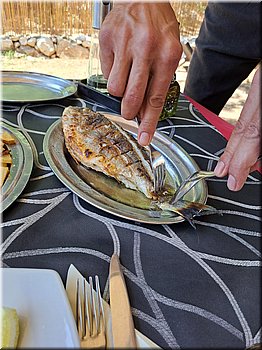 250602-Kololod-141400_Brc.jpg