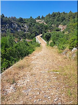 250605-Kololod-151709_Brc.jpg
