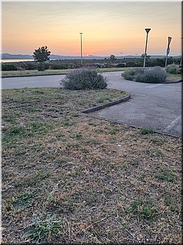 250607-Kololod-203026_Brc.jpg