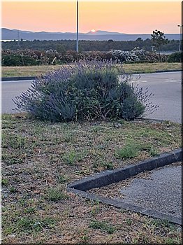 250607-Kololod-203038_Brc.jpg