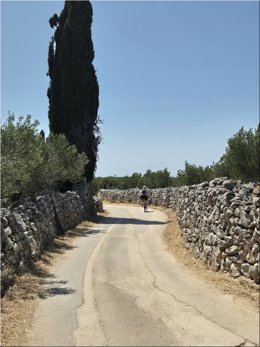 250605-Kololod-141949_TT.jpg