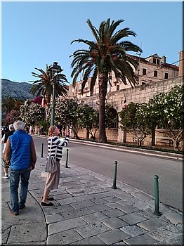250531-Kololod-204317_TT.jpg