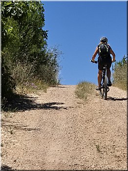 250601-Kololod-125905_TT.jpg
