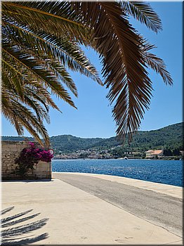 250602-Kololod-104707_TT.jpg