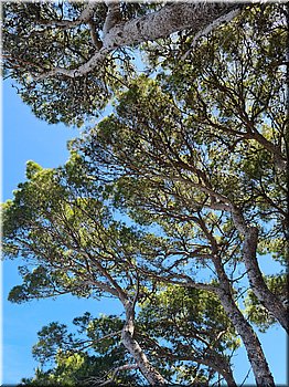 250602-Kololod-120030_TT.jpg