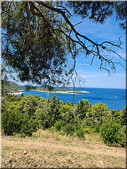 250602-Kololod-121347_TT.jpg