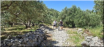 250602-Kololod-020_wa.jpg