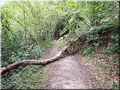 250912-A-cestouVr-9125475_Vr.jpg