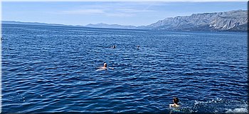 260530-kololod-Brcvmori.jpg