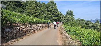 260531-kololod-naceste.jpg