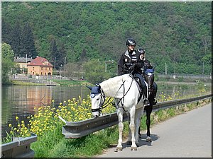 140426-DBN-vyletLevyHradec-1521_Lenka.JPG