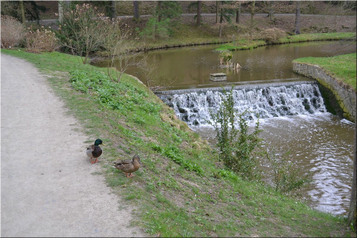park_150418-DBN-vylet-Pruhonice-090_Brc.JPG
