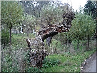151028-vylet-Semmering-34_Hub.JPG