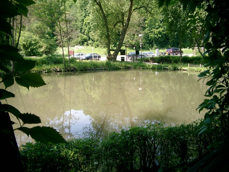 050529-skoronaOkor-77.JPG