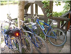 050529-skoronaOkor-73.JPG