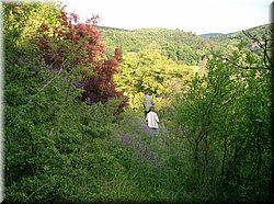 060603-Solopisky-17.JPG