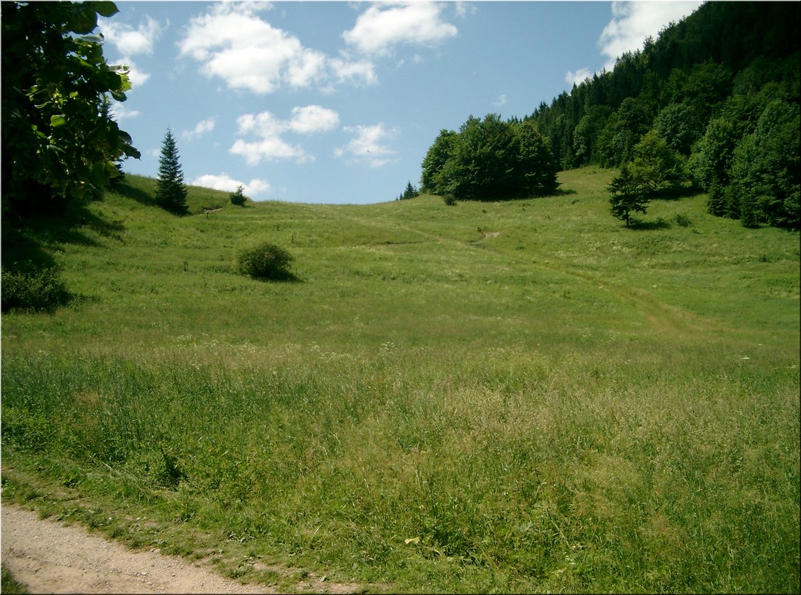 060705-120110-Terchova_Brc.JPG