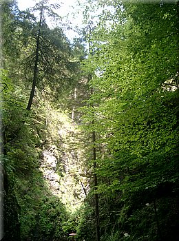 060705-105910-Terchova_Brc.jpg