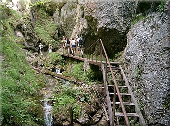060705-110104-Terchova_Brc.JPG